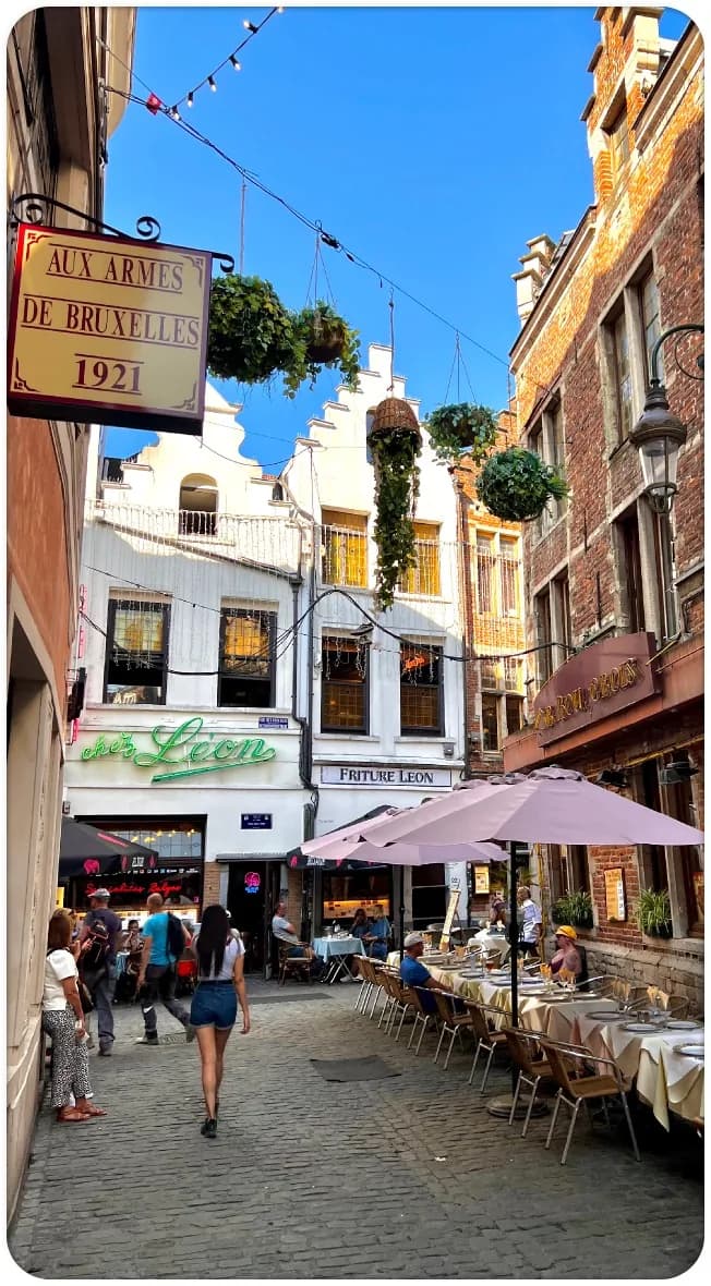 A narrow cobbled Brussels lane lined with restaurant tables under pink umbrellas, with hanging plants and festoon lights overhead.